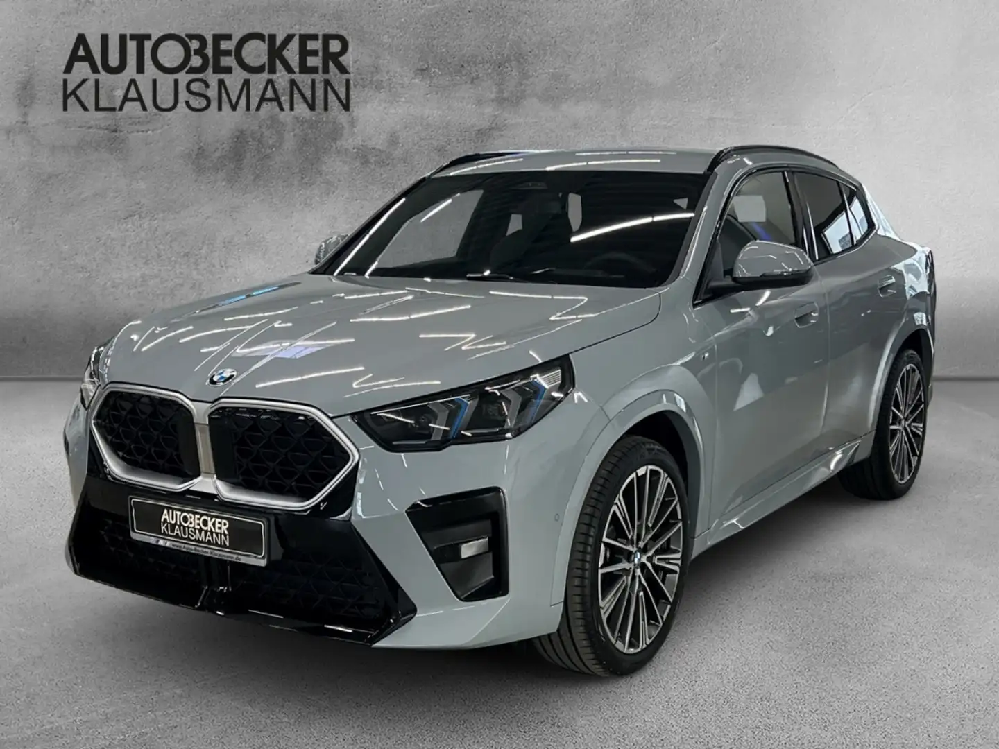 BMW X2 sDrive20i M Sport inkl. Winterradsatz Gris - 1
