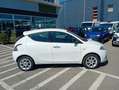 Lancia Ypsilon 1.2 8v Gold s/CL 69 CV Bianco - thumbnail 5