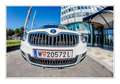 Skoda Yeti Yeti 2,0 TDI SCR 4x4 Style DSG Style - thumbnail 32