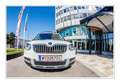 Skoda Yeti Yeti 2,0 TDI SCR 4x4 Style DSG Style - thumbnail 30