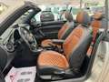 Volkswagen Maggiolino Cabrio 2.0 TDI DSG Sport Exclusive - UNICA - thumbnail 8
