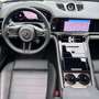 Porsche Panamera Turbo E-Hybrid PHEV Executive Aut. *Panorama*He... Grün - thumbnail 14