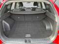 Hyundai TUCSON NX4 Edition 30 1,6 CRDi 2WD 6MT - t1de0 Rot - thumbnail 15
