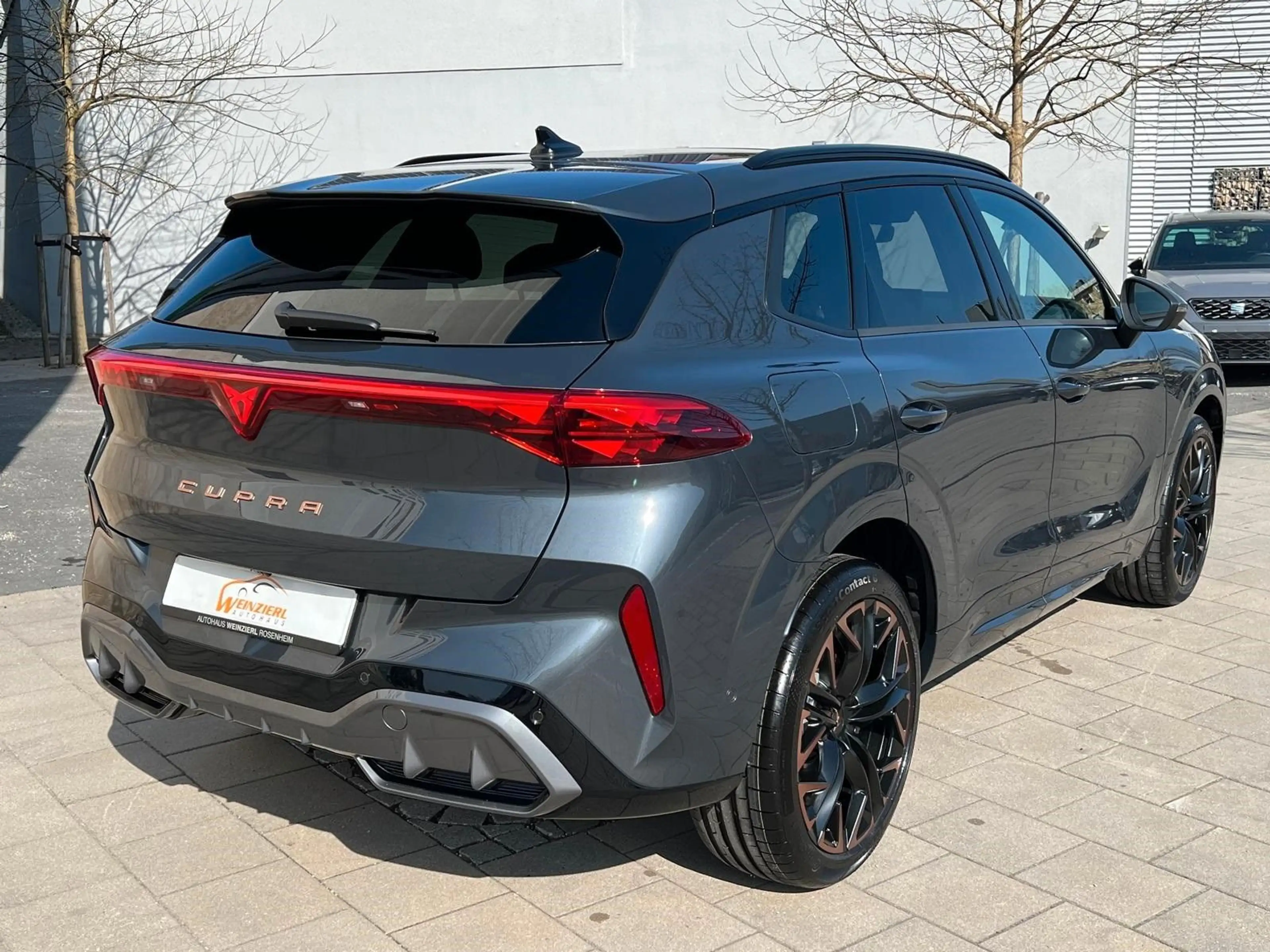 CUPRA Terramar 2.0 TSI 265PS VZ DSG 4Drive GARANTIE — photo 3