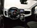 Fiat Panda Panda 1.0 FireFly S&S Hybrid Pandina Noir - thumbnail 9