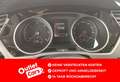 Volkswagen Touran Comfortline TDI SCR 5-Sitzer Alb - thumbnail 9