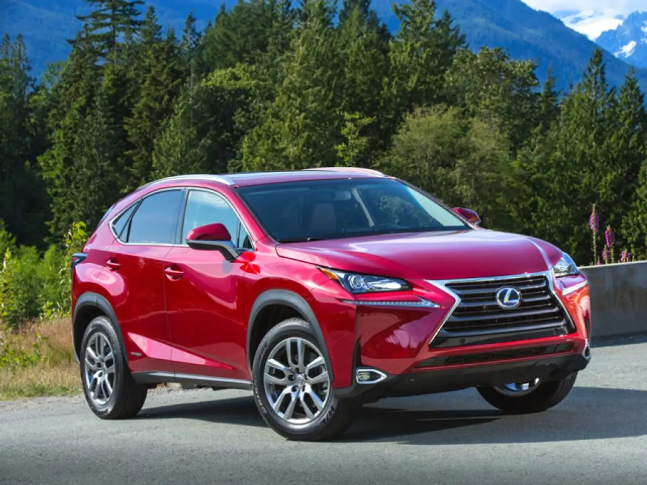 Lexus NX 300