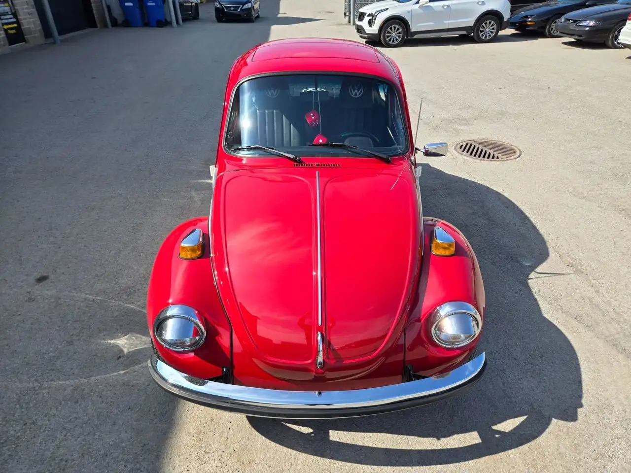 Volkswagen Beetle снимка Volkswagen Beetle
