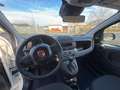 Fiat New Panda Pandina 1.0 65c.v Hybrid Pop Weiß - thumbnail 9