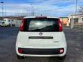 Fiat New Panda Pandina 1.0 65c.v Hybrid Pop Weiß - thumbnail 4