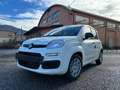 Fiat New Panda Pandina 1.0 65c.v Hybrid Pop Weiß - thumbnail 1