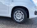 Fiat New Panda Pandina 1.0 65c.v Hybrid Pop Weiß - thumbnail 12
