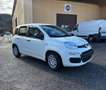 Fiat New Panda Pandina 1.0 65c.v Hybrid Pop Weiß - thumbnail 6