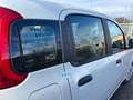 Fiat New Panda Pandina 1.0 65c.v Hybrid Pop Weiß - thumbnail 11