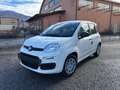Fiat New Panda Pandina 1.0 65c.v Hybrid Pop Weiß - thumbnail 2