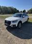 Audi Q2 Sport 1.0 TFSI | EZ 12/2017|Audi-Service|TÜV 12/2 Weiß - thumbnail 1