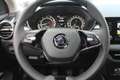Skoda Fabia TSi TOP 110 Alu PDC LED Allwe Climatronic Negro - thumbnail 10