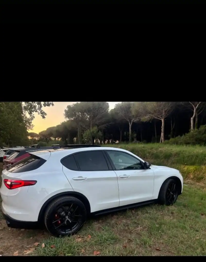 Alfa Romeo Stelvio 2.0 t First Edition Q4 280cv auto - 2