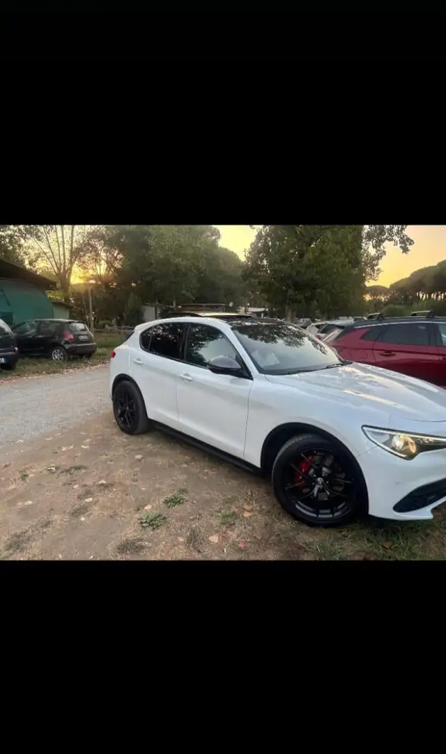 Alfa Romeo Stelvio 2.0 t First Edition Q4 280cv auto - 1