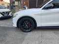Alfa Romeo Stelvio 2.0 t First Edition Q4 280cv auto - thumbnail 5