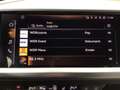 Audi Q4 e-tron 35 S LINE PANO NAVI+ OPS LM20 Grau - thumbnail 12