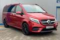 Mercedes-Benz V 300 d LANG 4M AMG-LINE WEBASTO AHK 3x EL.TÜREN Rood - thumbnail 3