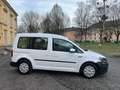 Volkswagen Caddy Kombi Trend 2,0 TDI ÖAMTC Test, Telefon und Mus... Alb - thumbnail 10