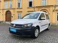 Volkswagen Caddy Kombi Trend 2,0 TDI ÖAMTC Test, Telefon und Mus... Alb - thumbnail 2