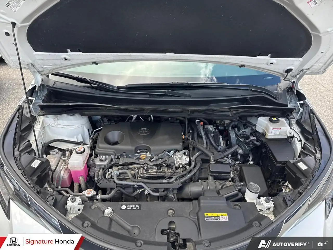 Toyota Sienna снимка Toyota Sienna