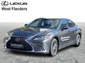 Lexus ES 300 Explore Line +Pano+Sensors Grigio - thumbnail 1