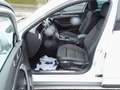 Volkswagen Passat Alltrack 4mot.,STHZ,AHZV,LED,NAVI, Blanc - thumbnail 5