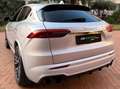 Maserati Grecale Grecale 2.0 mhev Modena 330cv auto Bianco - thumbnail 5