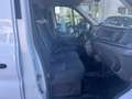 Ford Transit Transit Kasten 2,0 EcoBlue L3H2 350 Trend Weiß - thumbnail 8