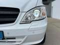 Mercedes-Benz Vito 116 CDI Komp,Mixto,5S,Aut,SH,SD,AHK,TÜV,Serv. Blanco - thumbnail 12