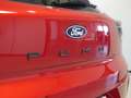 Ford Puma 1.0 EcoBoost MHEV Titanium 125 Rojo - thumbnail 18