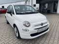 Fiat 500 1.0 Klima*Carplay*Einparkhilfe Weiß - thumbnail 8