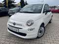 Fiat 500 1.0 Klima*Carplay*Einparkhilfe Weiß - thumbnail 1