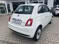 Fiat 500 1.0 Klima*Carplay*Einparkhilfe Weiß - thumbnail 6