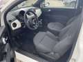 Fiat 500 1.0 Klima*Carplay*Einparkhilfe Weiß - thumbnail 9