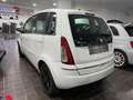 Lancia MUSA 1.4 B/GPL 75CV ECOCHIC -ITALIANA- PRONTA CONSEGNA Blanc - thumbnail 6