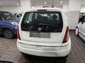 Lancia MUSA 1.4 B/GPL 75CV ECOCHIC -ITALIANA- PRONTA CONSEGNA Blanc - thumbnail 5