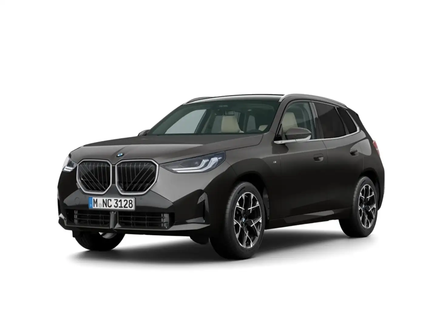BMW X3 20 xDrive M Sport H&K AHK-klappbar Park-Assistent Grau - 1