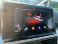 SEAT Tarraco 2.0 TDI Business 150cv DSG "EURO 6 - D" Grigio - thumbnail 12