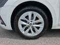Skoda Octavia Style TDI Weiß - thumbnail 5