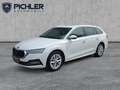 Skoda Octavia Style TDI Weiß - thumbnail 1