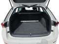 Skoda Octavia Style TDI Weiß - thumbnail 22