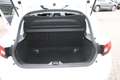 Renault Clio 1.2 Collection Weiß - thumbnail 13