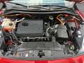 Ford Kuga 2.5 Duratec PHEV TITANIUM X *AHK*LED* Rood - thumbnail 22
