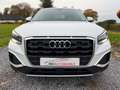 Audi Q2 35 TFSI Белый - thumbnail 3