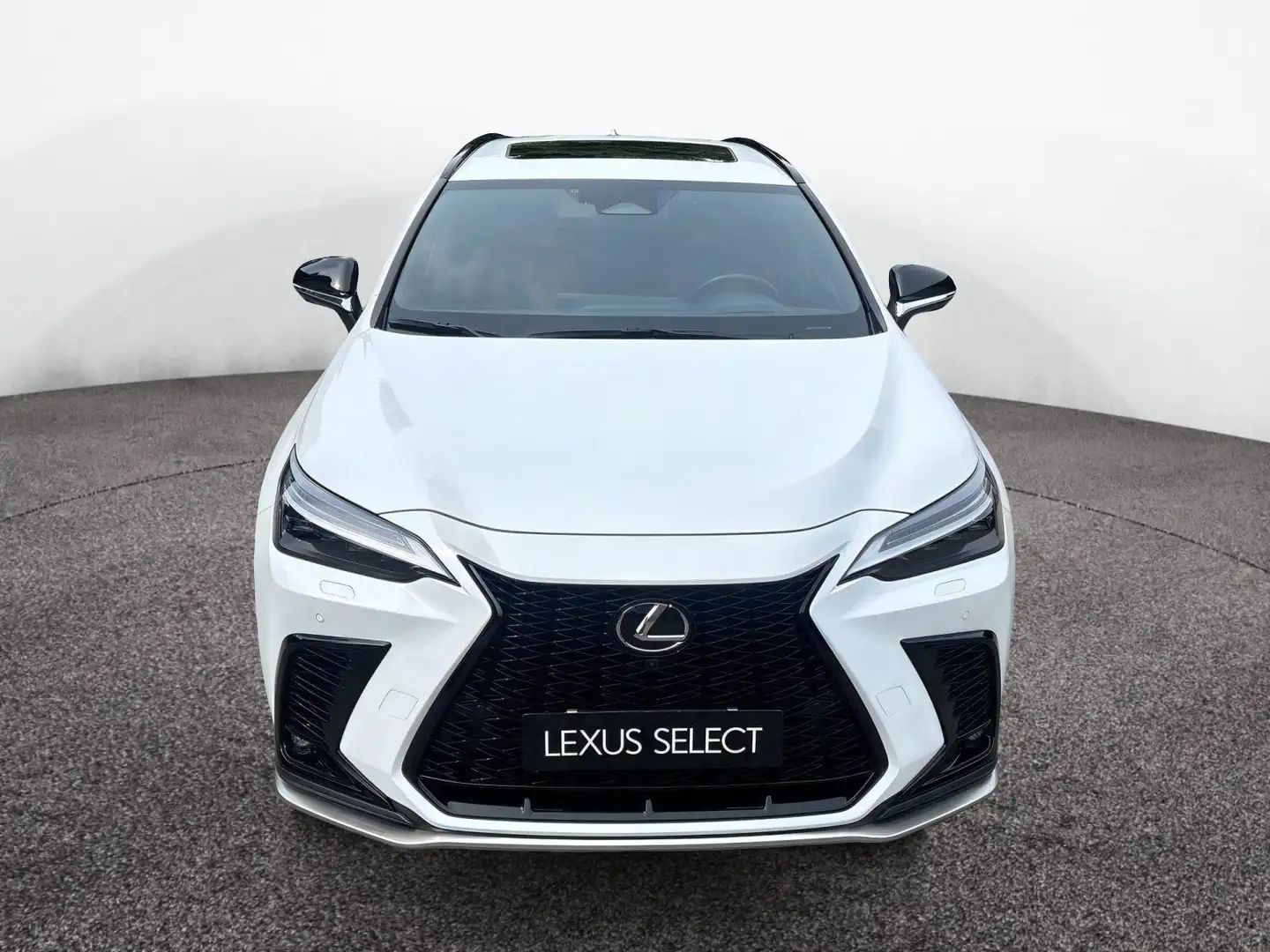 Lexus NX 300 Plug-in 4WD F-Sport - 1